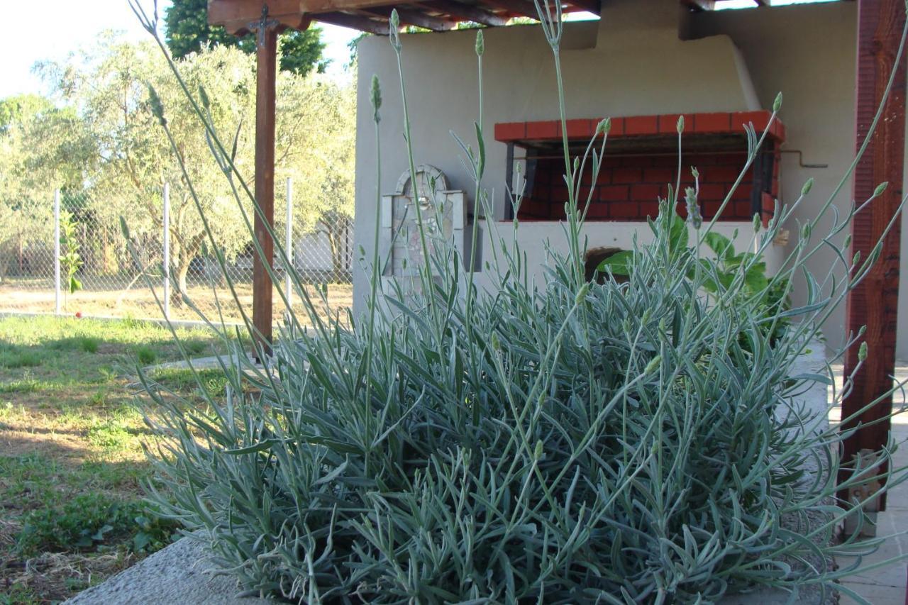 Gorjelina 'S House Volos Exterior foto